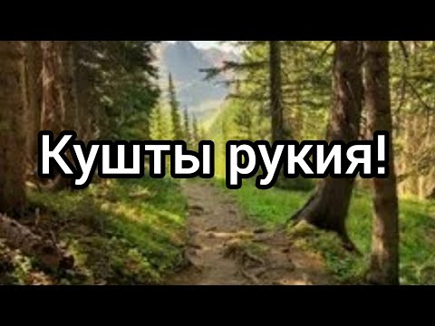 Видео: жын, Сиқыр, көз тию, және ауруға қарсы мықты рұқия!