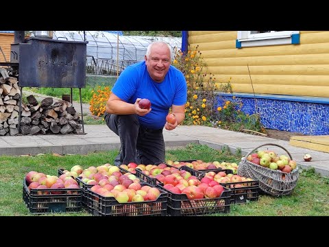 Видео: Как живёт деревенька в Беларусской глубинке