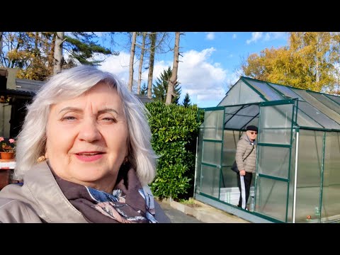 Видео: Заглянули на дачу: креветки на ужин + салат из редиски