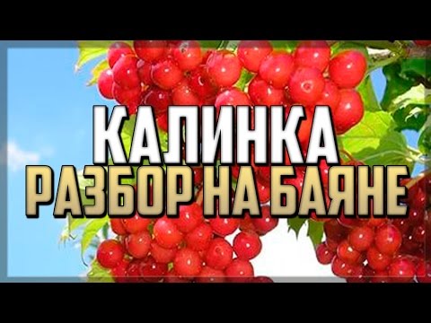 Видео: КАЛИНКА МАЛИНКА разбор на баяне