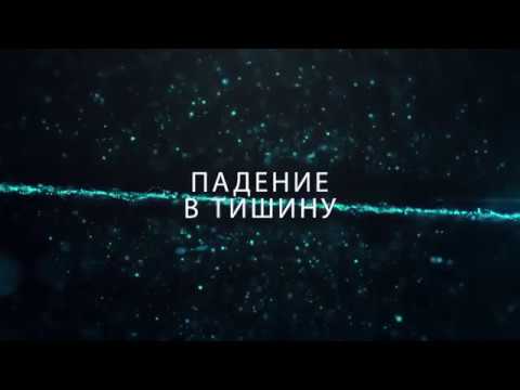 Видео: Свами Даши. "Падение в тишину"