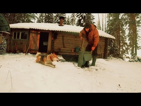 Видео: Живём Неделю в Тайге. Рыбалка. Охота. Готовим Добытую Дичь.