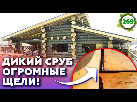 Видео: Смертельные ошибки при строительстве сруба / Обзор бани из рубленого бревна