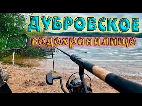Видео: ФИДЕРНАЯ РЫБАЛКА  на ДУБРОВСКОМ водохранилище. Рыбалка в Беларуси 2024
