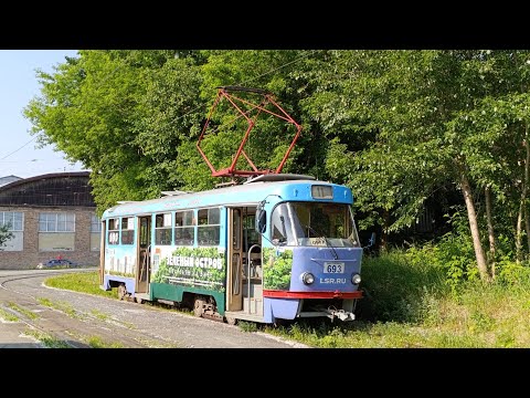 Видео: Транспорт Екатеринбурга 11 июня 2025 г.