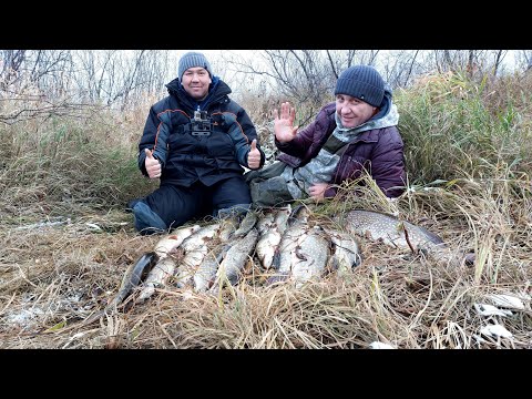 Видео: Закрываем сезон, р.Етыпур щука на спиннинг.