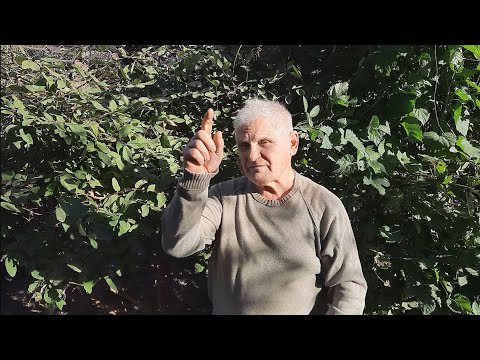 Видео: Самое лучшее народное средство от ожогов