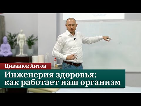 Видео: Инженерия здоровья: как работает наш организм. Прикладная кинезиология. Циванюк Антон