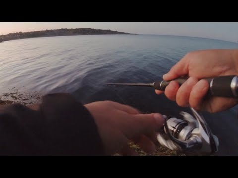 Видео: Риболов на чернокоп - 24.10.22