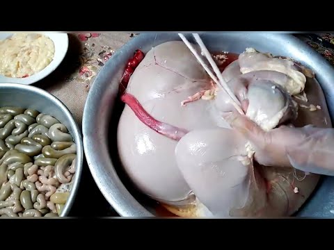 Видео: Қойдың ішек-қарынын осы әдіспен тазалаңыз  оңайырақ болады.