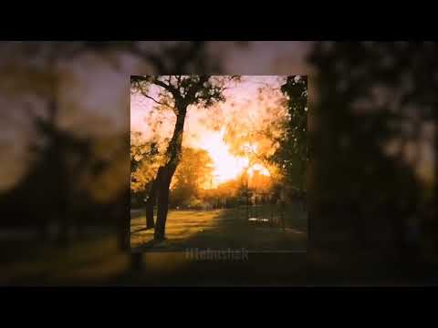 Видео: Кино - пачка сигарет instrumental [slowed/reverb/best part looped] та самая версия из тик тока