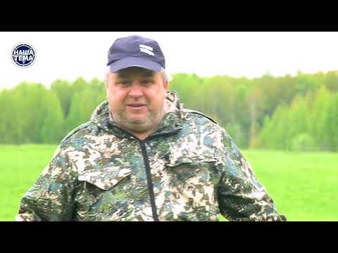 Видео: Клещ таёжный  Как предохраниться от клеща