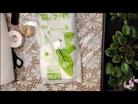 Видео: Як упакувати фіалки для відправки.
