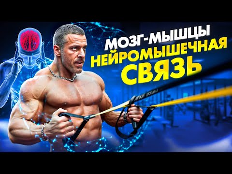Видео: Связь мозг-мышцы существует. Думай и качай мышцы.