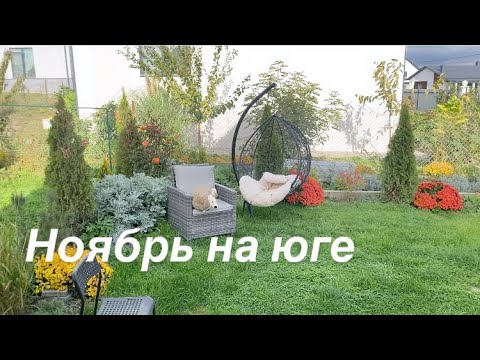 Видео: Осень на юге/Что растет в ноябре/ Обзор сада и огорода/ Переезд на юг