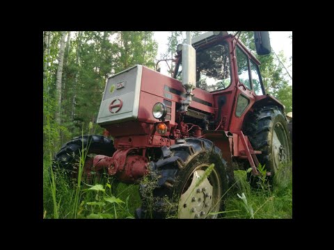 Видео: Лтз-55 А:Лес,дрова и немного о тракторе.