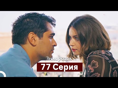 Видео: Зимородок 77 Cерия (Русский дубляж)