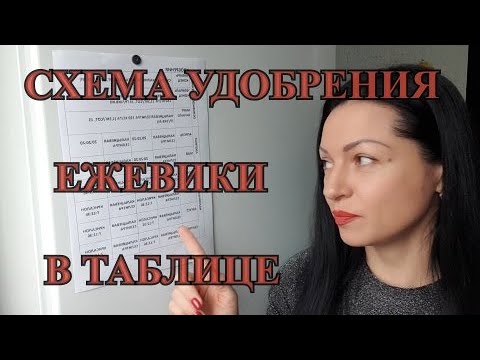 Видео: Схема удобрения ежевики/малины в таблице!!!