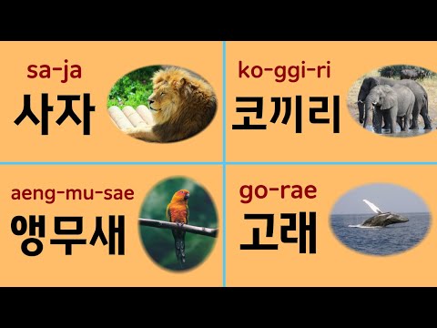 Видео: Изучите 50 названий животных на корейском для начинающих