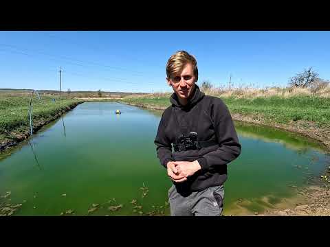 Видео: Всё Пошло Не по Плану ,  один день из Жизни)