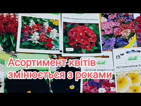 Видео: Мій досвід вирощування квітів  для продажу