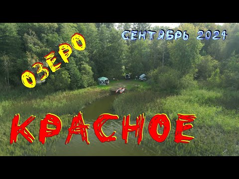 Видео: Озеро Красное 3.Рыбалка. Разведка. Отдых.