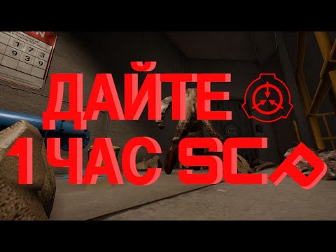 Видео: Играю час в Scp secret laboratory
