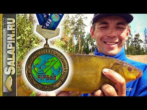 Видео: Интервью с Чемпионом Мира по фидеру Дмитрием Архиповым [salapinru]