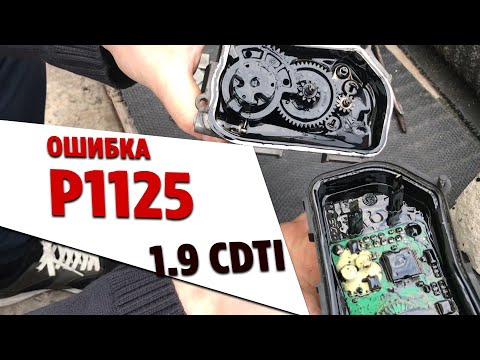 Видео: Opel Vectra C 1.9 cdti ошибка P1125