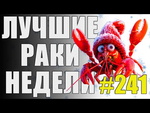 Видео: ЛРН выпуск №241 🤪 ЧЕРЕПАШКА-НИНЗДЯ и РАКООБРАЗНАЯ ФИЧА [Лучшие Раки Недели]