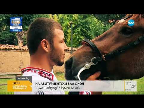 Видео: „Пълен абсурд”: На абитуриентски бал с кон (28.05.2018г.)