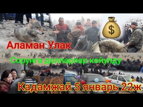 Видео: 🔥Акмат палван Аламан Улак Берди|Сорундун эсеби жок|Кадамжай 5-январь 22жыл|1 бөлүк