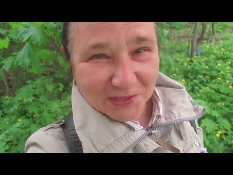 Видео: Козоводство в вопросах и ответах. Часть 26.