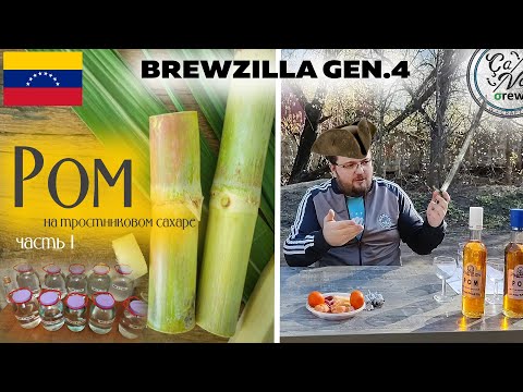 Видео: Рецепт рома на Тростниковой сахаре | BrewZilla GEN 4 65L | часть 1