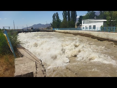 Видео: это очень интересно БЧК