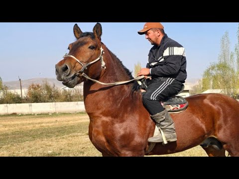 Видео: Корабль Удар Ат✊️