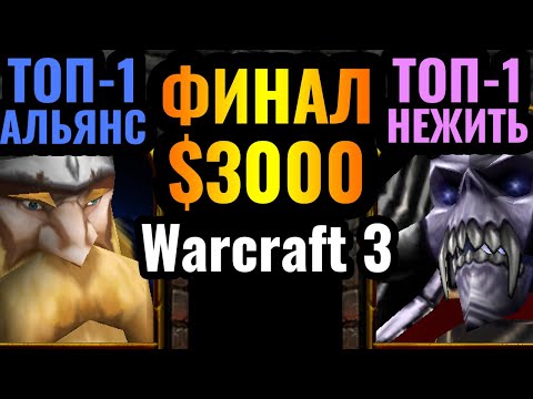 Видео: Happy vs Romantic: Новая Эра для Альянса?! Всё меняется в Warcraft 3: Финал турнира за $3000