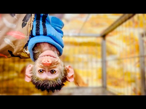 Видео: СМЕХ! Степашка-улыбашка и Маня ЛОЖАТЬСЯ СПАТЬ, вы такого точно ещё не видели)))