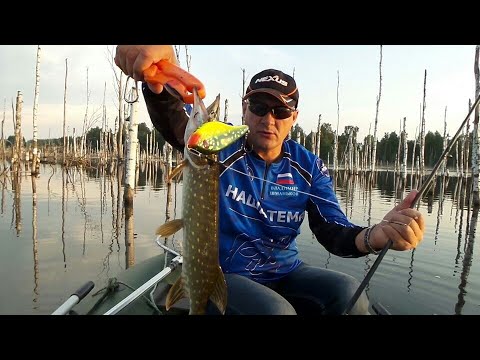 Видео: Рыбалка на джерк.