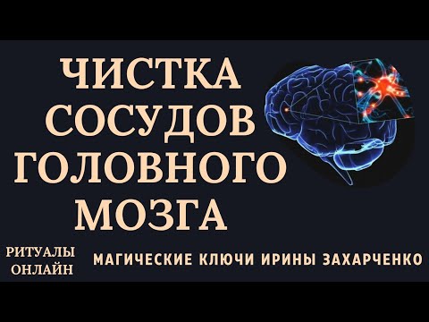 Видео: ЧИСТКА СОСУДОВ ГОЛОВНОГО МОЗГА. ГОЛОВНЫЕ БОЛИ. РОДОВЫЕ ТРАВМЫ. СОТРЯСЕНИЯ. ДАВЛЕНИЕ. МИГРЕНИ. ПОРЧИ.