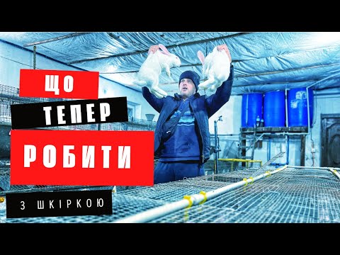 Видео: Шкіра кролика не йде / Треба мабуть закривати бізнес і #youtubeканал