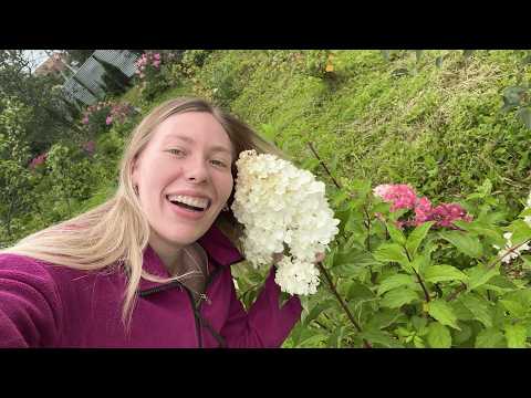 Видео: Ласточки, фокачча, концерт Лириды и мой День рождения: Вспоминаем Август 2025