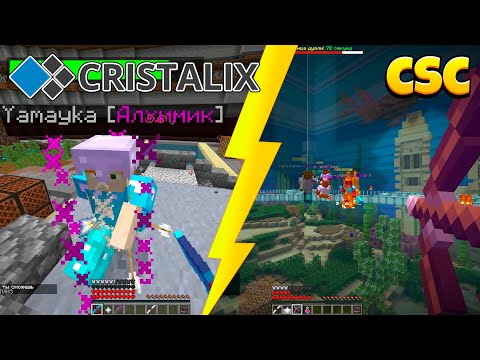 Видео: 8 vs 8, Но в Разных Командах! Custom Steve Chaos!