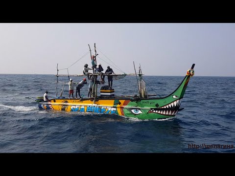 Видео: В океане с рыбаками. Шри-Ланка.
