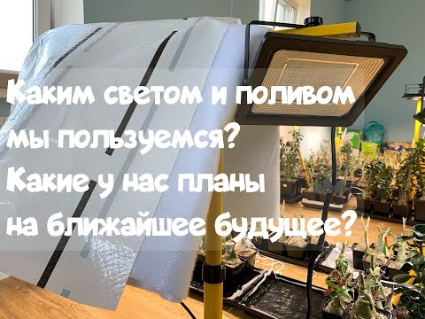 Видео: Каким искусственным светом и поливом мы пользуемся? И о ближайших планах.
