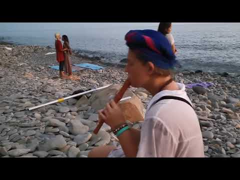 Видео: Утриш vs Дикари