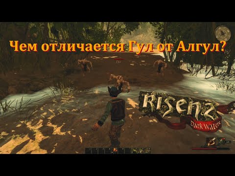 Видео: [Первое прохождение] Risen 2: Dark Waters, серия 9