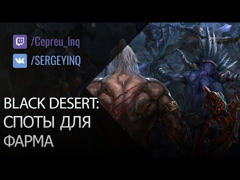 Видео: Black Desert: Где фармить? (в описании ссылка на новый гайд)