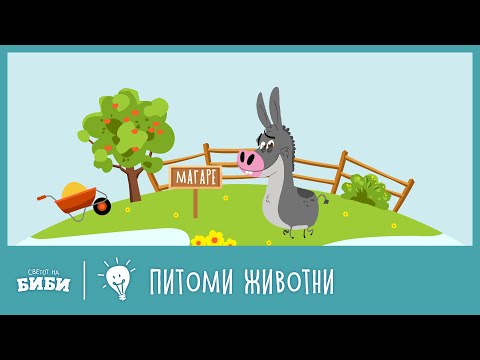 Видео: Учиме со Биби и Боби: Питоми животни