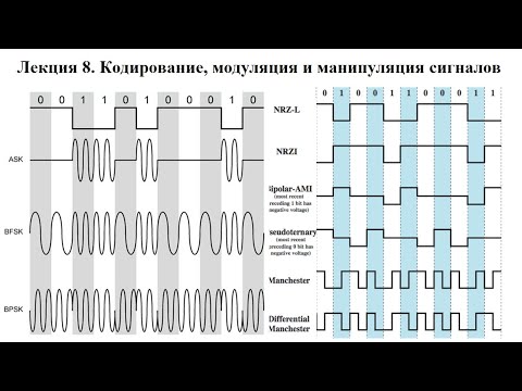 Видео: Лекция 8. Кодирование, модуляция и манипуляция сигналов.